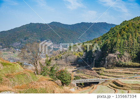 明日香村稲渕の棚田冬景色　日本の棚田百選　奈良県 135667334