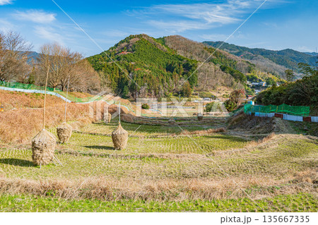 明日香村稲渕の棚田冬景色 日本の棚田百選 奈良県 明日香村稲渕の棚田冬景色 日本の棚田百選 奈良県 135667335