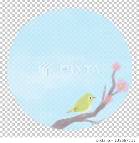 水彩手繪背景,描繪了日本繡眼花和櫻花。 水彩手繪背景,描繪了日本繡眼花和櫻花。 135667515