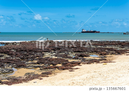 Praia da Volta da Jurema beach, 135667601