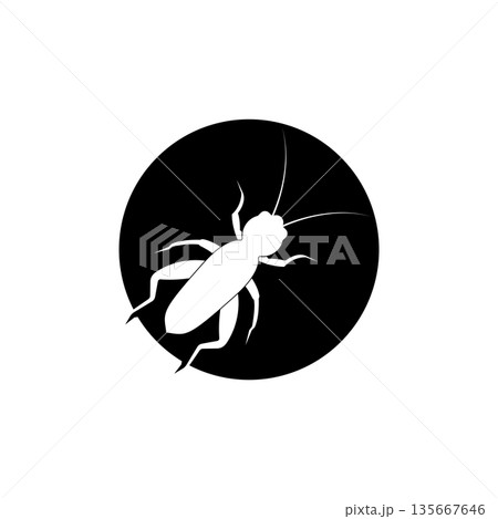 Cricket Insect icon 135667646