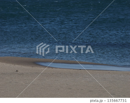 白い砂浜と青い海 白い砂浜と青い海 135667731