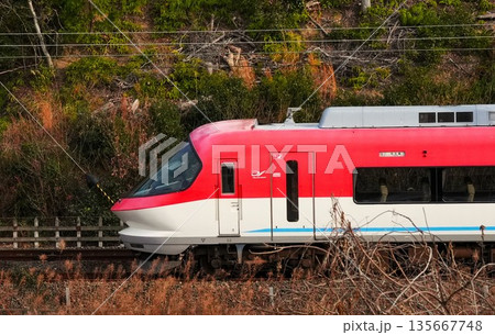 近鉄特急　伊勢志摩ライナー 135667748