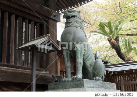 櫛田神社の狛犬 櫛田神社の狛犬 135668003