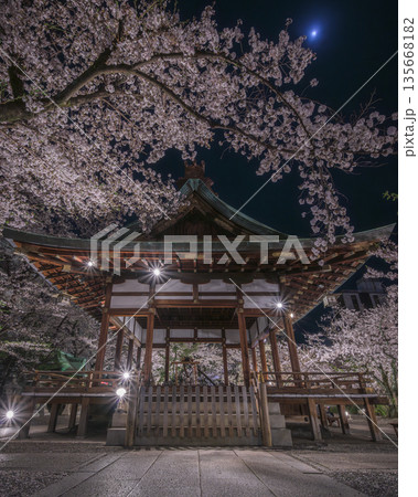 天孫神社の夜桜 135668182