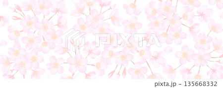 桜の花を敷き詰めたような背景イラスト 135668332