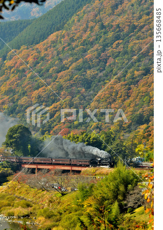 やまぐち号　51 135668485