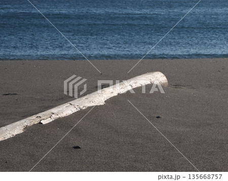 砂浜に打ちあがった流木 砂浜に打ちあがった流木 135668757