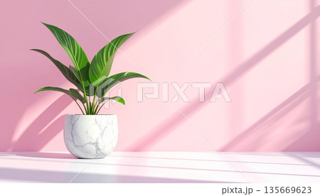 Pink tulips blossom in a decorative vase with green foliage and natural flora to create a beautiful houseplant growth for home gardening decoration 135669623