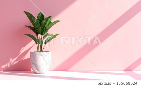 Pink tulips blossom in a decorative vase with green foliage and natural flora to create a beautiful houseplant growth for home gardening decoration 135669624