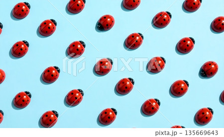 A cute red ladybug beetle is isolated on a white background as a macro nature close-up of a beautiful spring insect 135669643