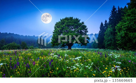 Dark evening sunset over mountain silhouettes with a full moon lighting a night landscape of summer flowers and forest trees under a deep blue cloud sky Dark evening sunset over mountain silhouettes with a full moon lighting a night landscape of summer flowers and forest trees under a deep blue cloud sky 135669665
