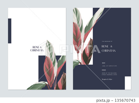 Foliage wedding invitation card template design, Ctenanthe oppenheimiana on white and dark blue 135670743