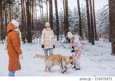 Two teenagers playing with golden retriever dog in snowy pine forest, winter outdoor walk with adult woman, family leisure and cold weather nature scene 135670973