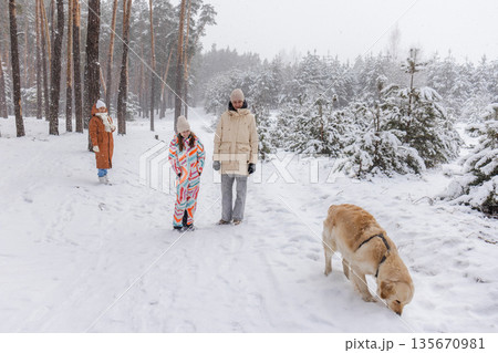 Family winter walk in snowy pine forest with golden retriever dog, children and adults enjoying cold weather outdoor leisure and calm holiday atmosphere with falling snow Family winter walk in snowy pine forest with golden retriever dog, children and adults enjoying cold weather outdoor leisure and calm holiday atmosphere with falling snow 135670981