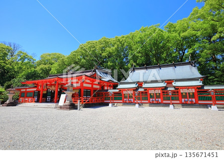 【和歌山県】快晴の熊野速玉大社の拝殿 【和歌山県】快晴の熊野速玉大社の拝殿 135671451