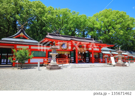 【和歌山県】快晴の熊野速玉大社の拝殿 135671462