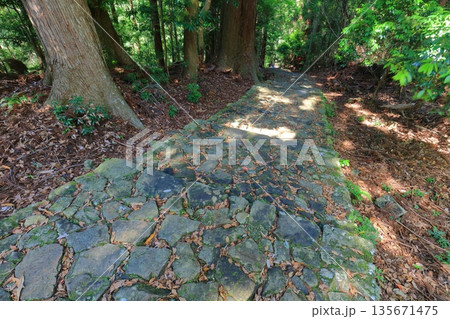 【和歌山県】熊野古道の大門坂 135671475
