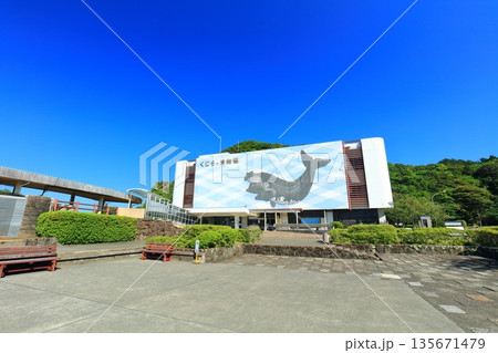 【和歌山県】快晴の太地町立くじらの博物館 【和歌山県】快晴の太地町立くじらの博物館 135671479