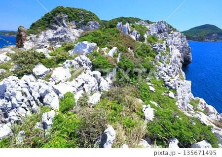 【和歌山県】快晴の白崎海洋公園 135671495