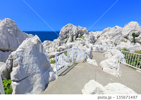 【和歌山県】快晴の白崎海洋公園 135671497