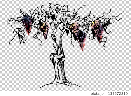 Vineyard tree with twisted trunk, grapevine tendrils, ripe grape clusters, winery landscape. Hand-drawn illustration in watercolor and ink for wine bottle labels, travel guides, tourism branding. Vineyard tree with twisted trunk, grapevine tendrils, ripe grape clusters, winery landscape. Hand-drawn illustration in watercolor and ink for wine bottle labels, travel guides, tourism branding. 135672810