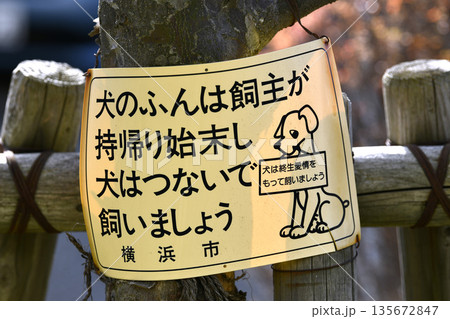 日本の横浜都市景観「犬のふんは飼主が持帰り始末し犬はつないで飼いましょう」「犬は終生愛情…＝横浜市内 135672847