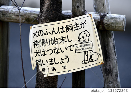 日本の横浜都市景観「犬のふんは飼主が持帰り始末し犬はつないで飼いましょう」「犬は終生愛情…＝横浜市内 135672848
