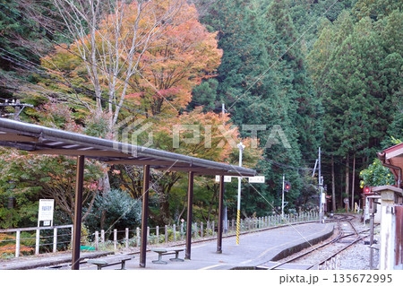 接岨峡温泉駅 大井川鉄道井川線 接岨峡温泉駅 大井川鉄道井川線 135672995