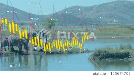 Gathering elephants drinking at muddy wetland watering hole, displaying financial chart overlays 135674705