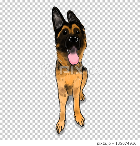 ジャーマンシェパードのイラストのイラスト素材 [135674916] - PIXTA