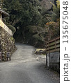 住宅地の静かな坂道の散歩道 135675048