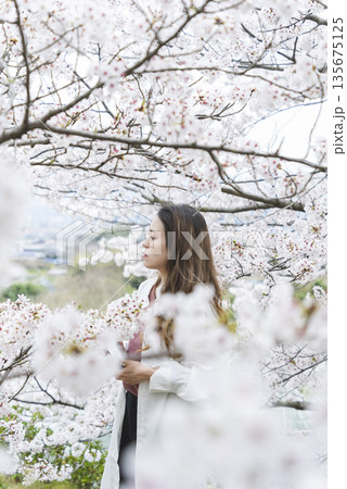 桜の木に囲まれた女性 桜の木に囲まれた女性 135675125