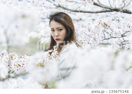 桜の木に囲まれた女性 桜の木に囲まれた女性 135675148