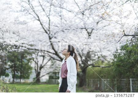 桜並木を散歩する若い女性 135675287