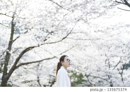 桜を見る女性 135675374