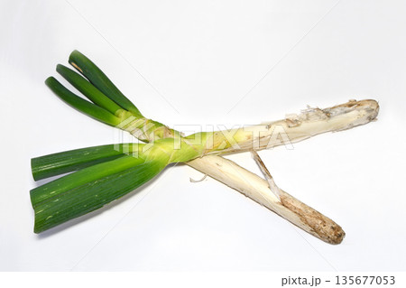 ねぎ(上州ねぎ) ねぎ(上州ねぎ) 135677053