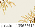 稲穂のイラストレーション 135677612