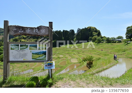 千葉県 大山千枚田 135677650