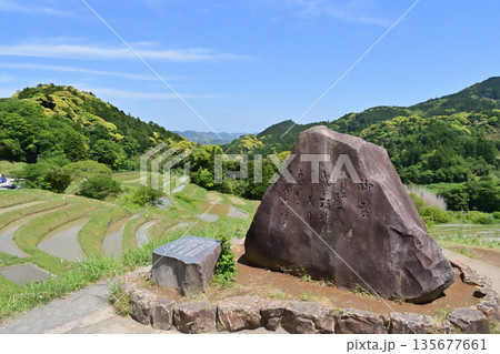 千葉県 大山千枚田 千葉県 大山千枚田 135677661