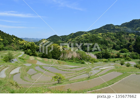 千葉県 大山千枚田 135677662