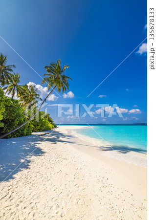 Serene sunny tropical beach landscape, soft sand, turquoise ocean, palm trees, clear sky, relaxing summer holiday, exotic travel destination, peaceful seaside vacation paradise 135678133