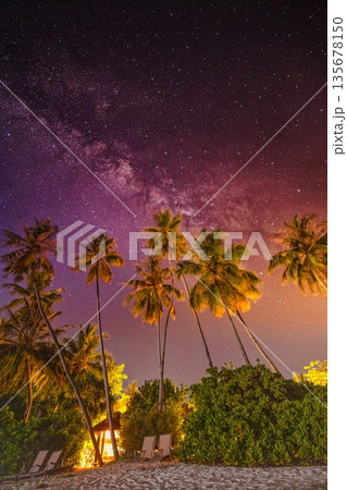 Night starry sky over tropical beach with palm trees creating serene travel landscape background for vacation tourism relaxation and destination branding 135678150
