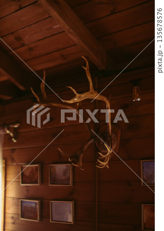 Deer antlers mounted inside a wooden house interior. Cozy Scandinavian home atmosphere with natural materials, rustic decor and warm Nordic style. Deer antlers mounted inside a wooden house interior. Cozy Scandinavian home atmosphere with natural materials, rustic decor and warm Nordic style. 135678576