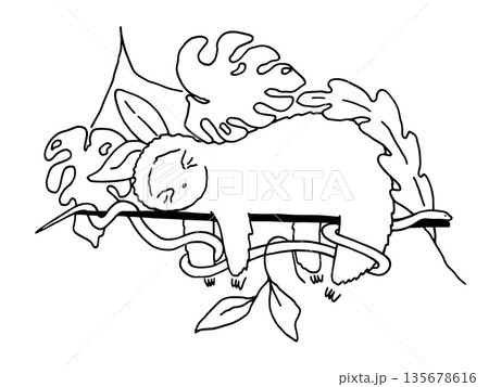 Doodle illustration of Baby sloth sleeping on the tree, snake coils around the branches of a tree. Tropical animals vector illustration 135678616
