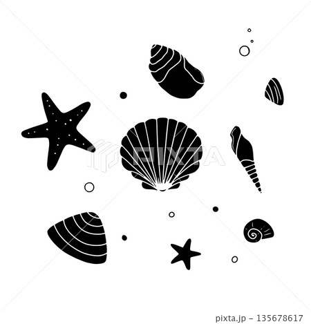 Seashells doodle. Sea elements hand drawn vector illustration Seashells doodle. Sea elements hand drawn vector illustration 135678617