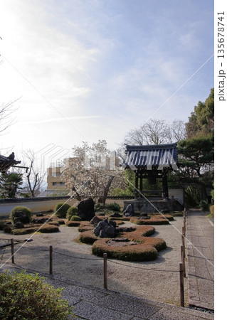京都北山 ハクモクレンの有名な招善寺 京都北山 ハクモクレンの有名な招善寺 135678741
