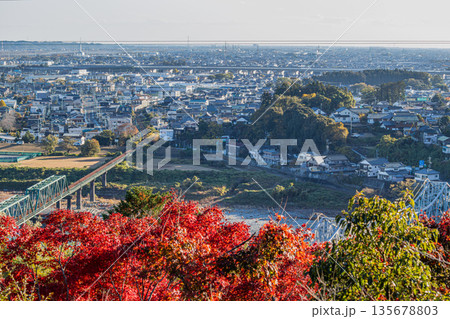 浜松市の紅葉と街並み(静岡県) 浜松市の紅葉と街並み(静岡県) 135678803