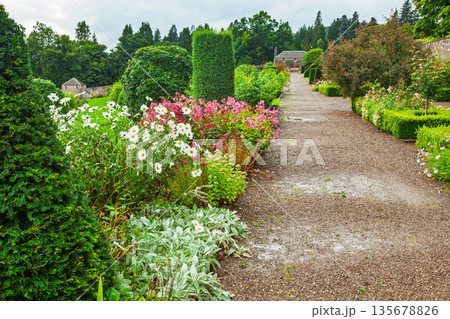 Scenic park path through manicured hedges and blooms 135678826