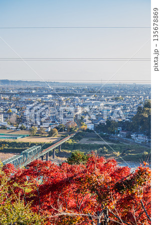 浜松市の紅葉と街並み(静岡県) 浜松市の紅葉と街並み(静岡県) 135678869